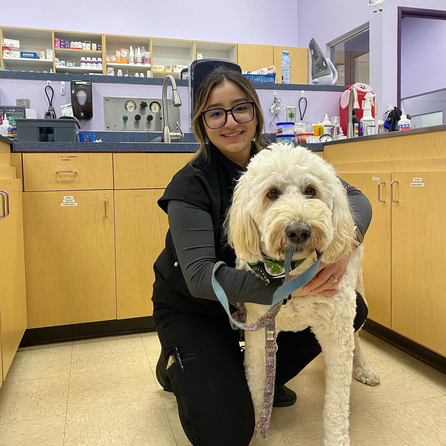 SoCal Pet Hospital