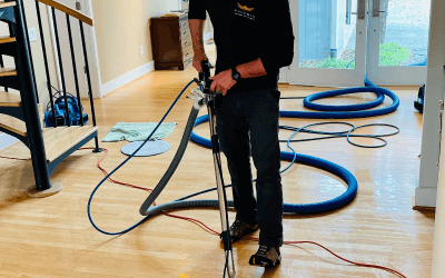 Phoenix Cleaning Solutions