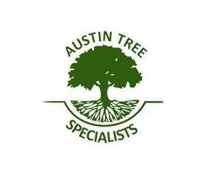 Austin Tree Specialists