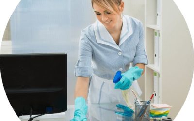 Ready Set Maids – North Austin